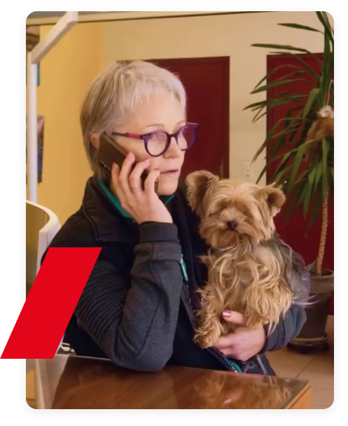Collaboratrice RénoBoîtes au téléphone avec sa chienne à l&rsquo;accueil